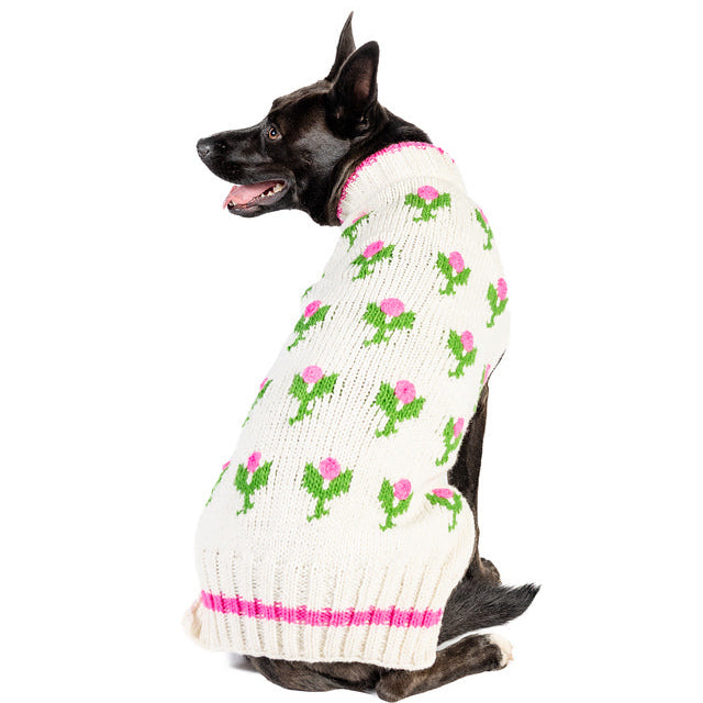 Dog wearing a white sweater with green frog patterns on a white background
