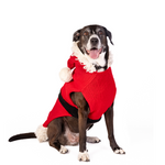 Santa Dog Sweater 63