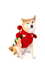 santa_and_elf_M_32