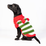 Black dog wearing a red and green striped sweater on a white background