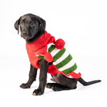 Dog wearing a red and green striped sweater on a white background