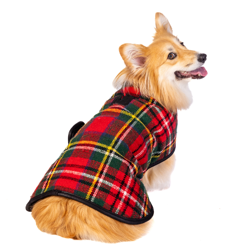 Scotty Plaid Dog Coat 51