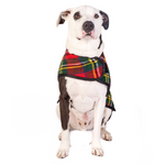 Scotty Plaid Dog Coat 52