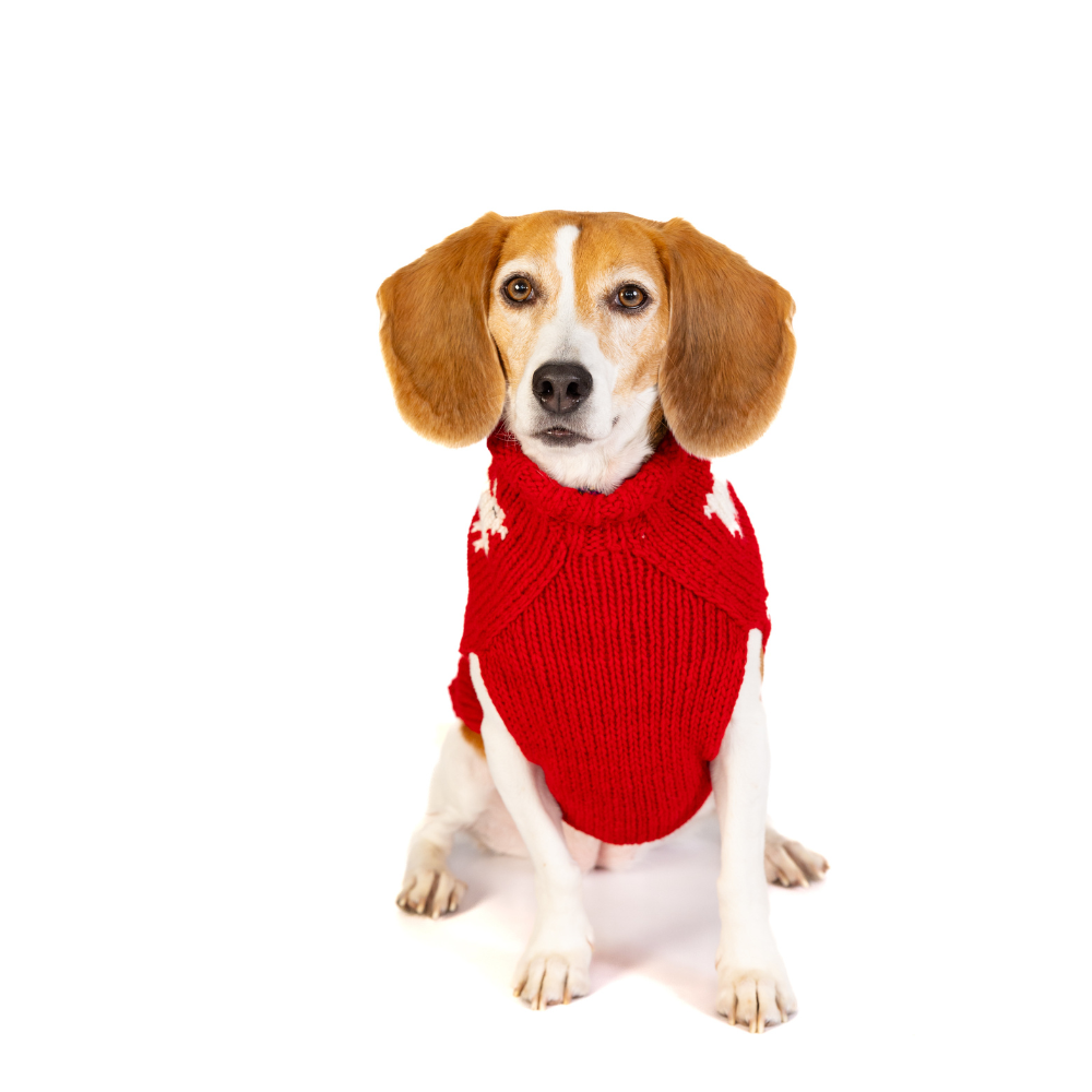 Black Sheep Dog Sweater