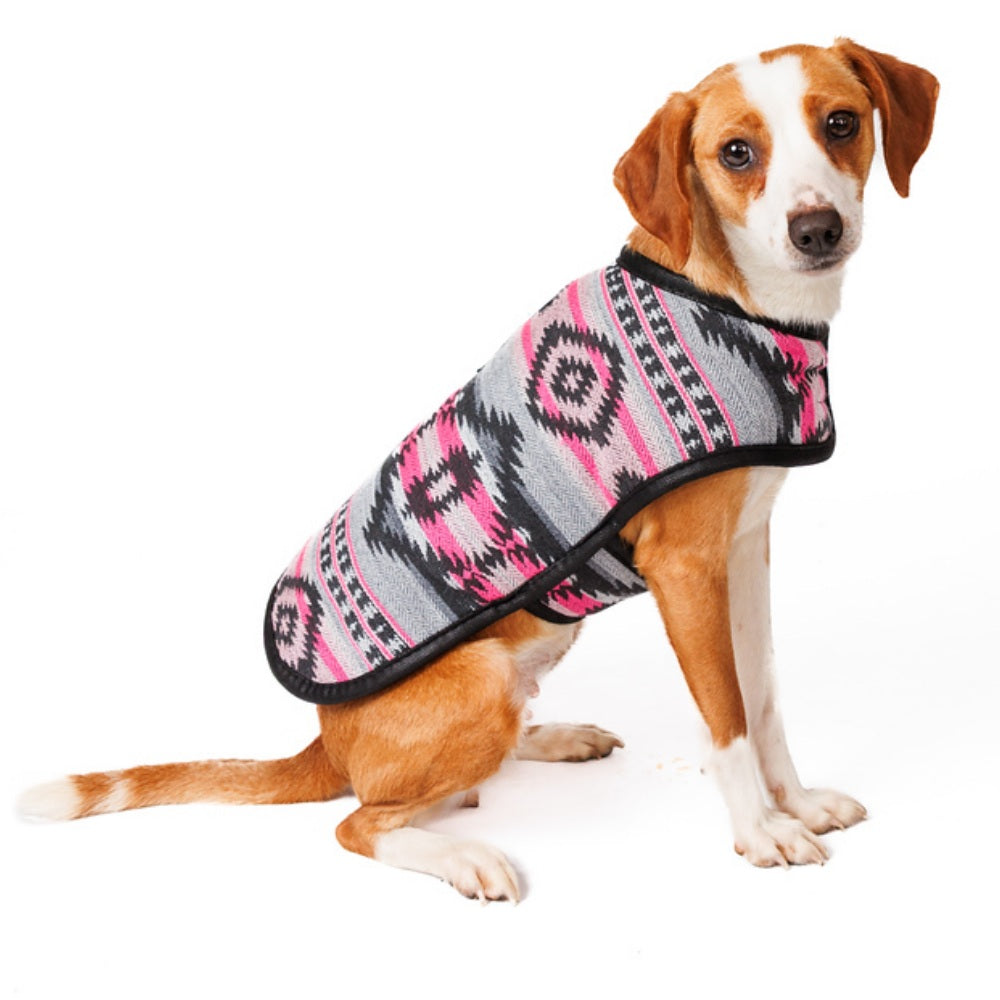 Dog wearing a patterned southwestern coat on a white background