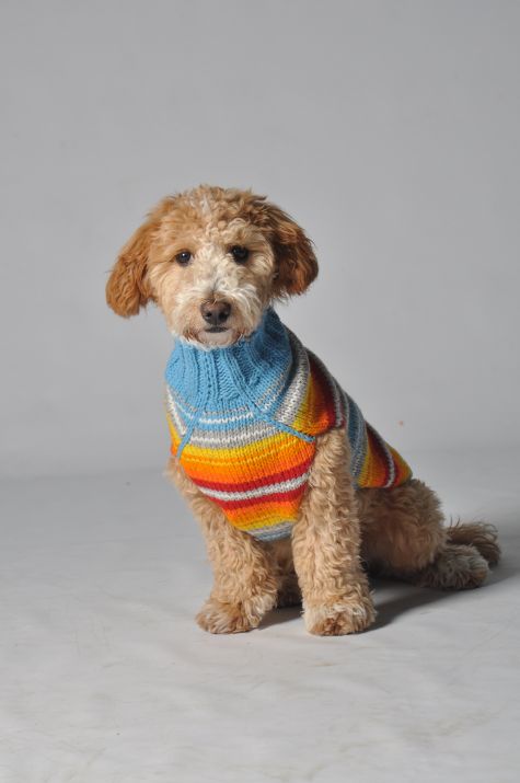 Turquoise Serape Dog Sweater Sm