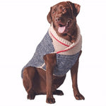 Dog wearing a striped sweater on a white background