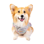 Sprinkles Dog Sweater 24