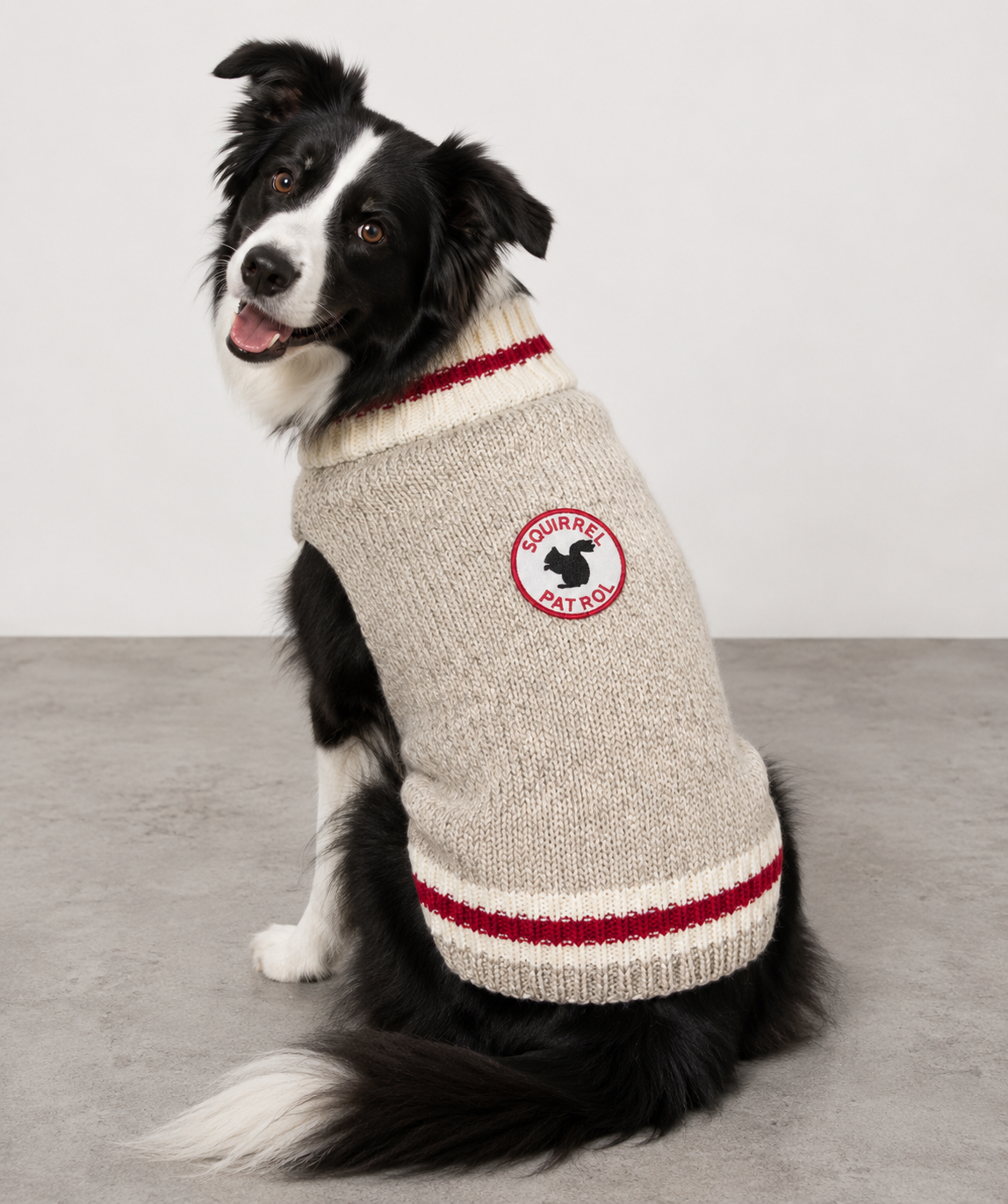 Dog wearing a beige sweater with red accents and a logo on a gray background
