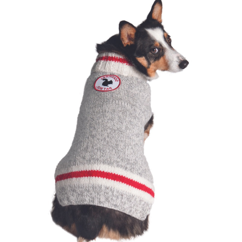 Squirrel Patrol dog sweater
