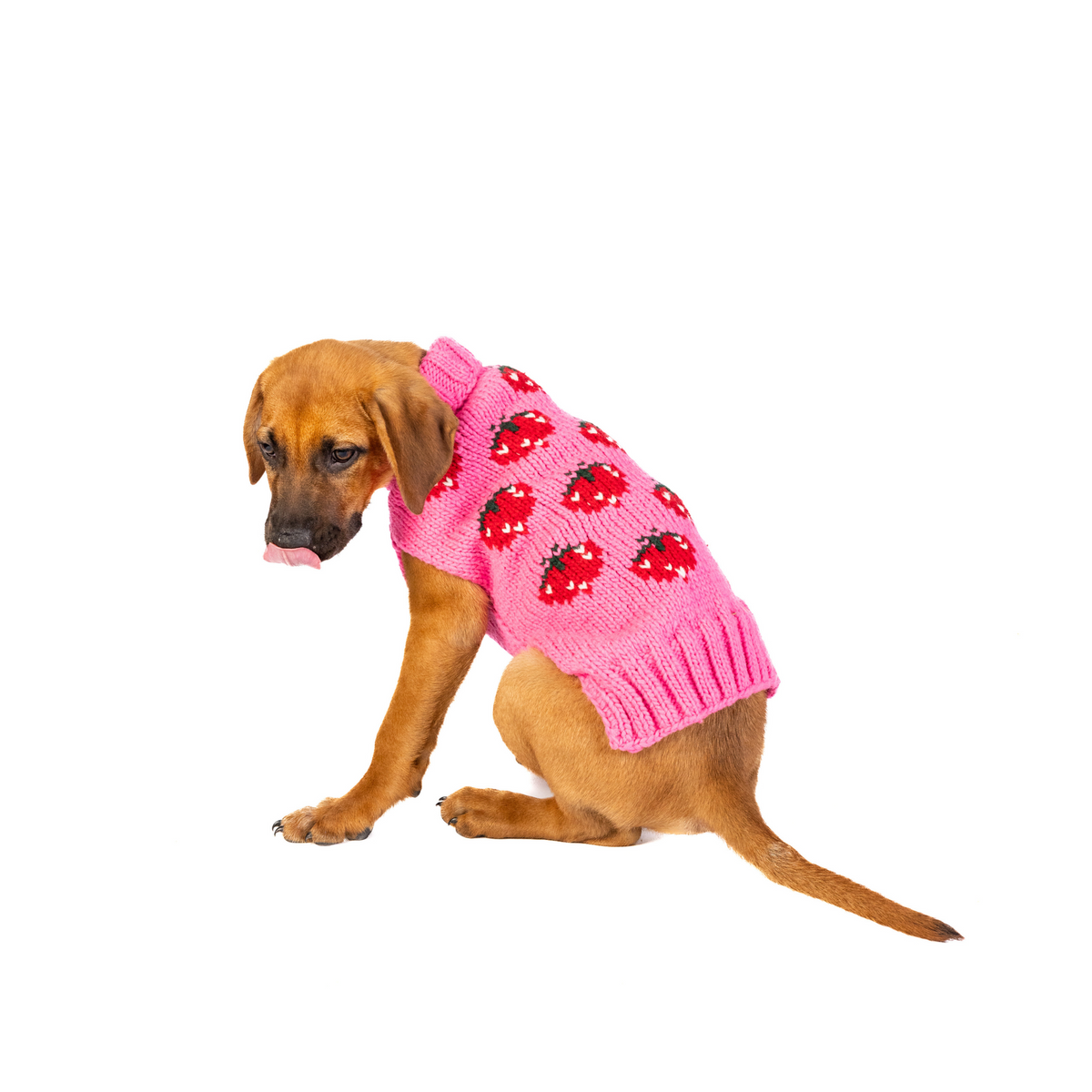 Strawberry Dog Sweater 10