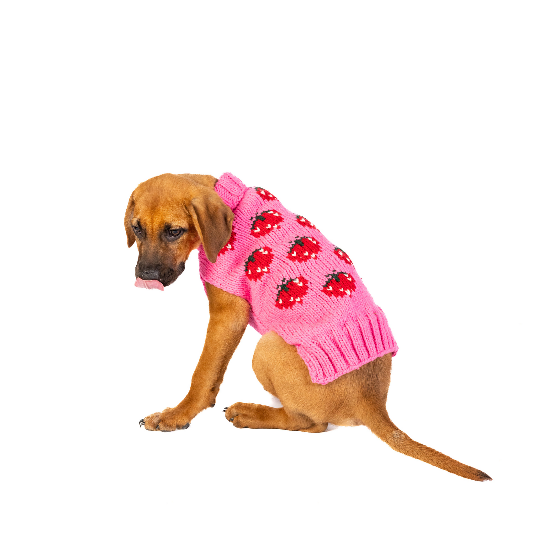 Strawberry Dog Sweater 10