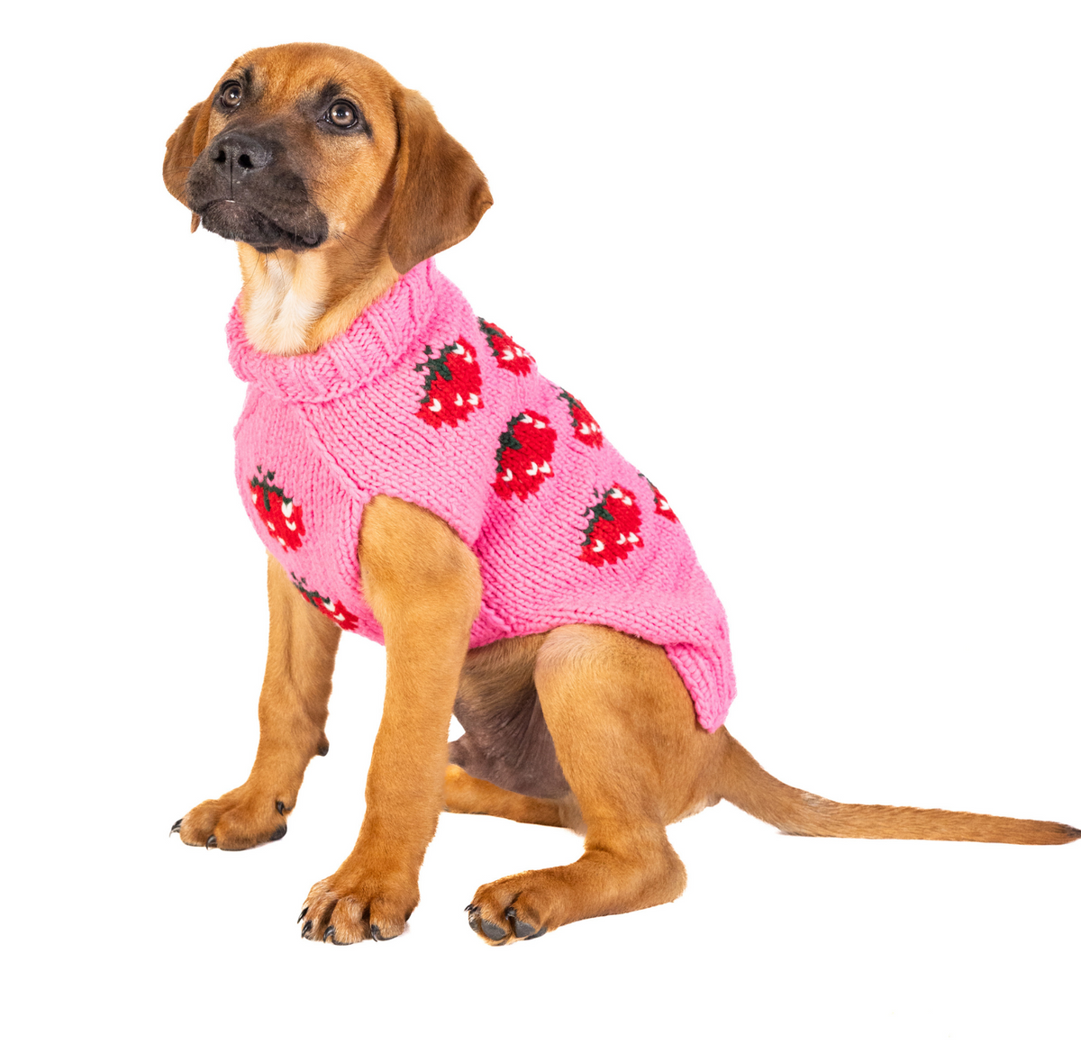 Strawberry Dog Sweater 8