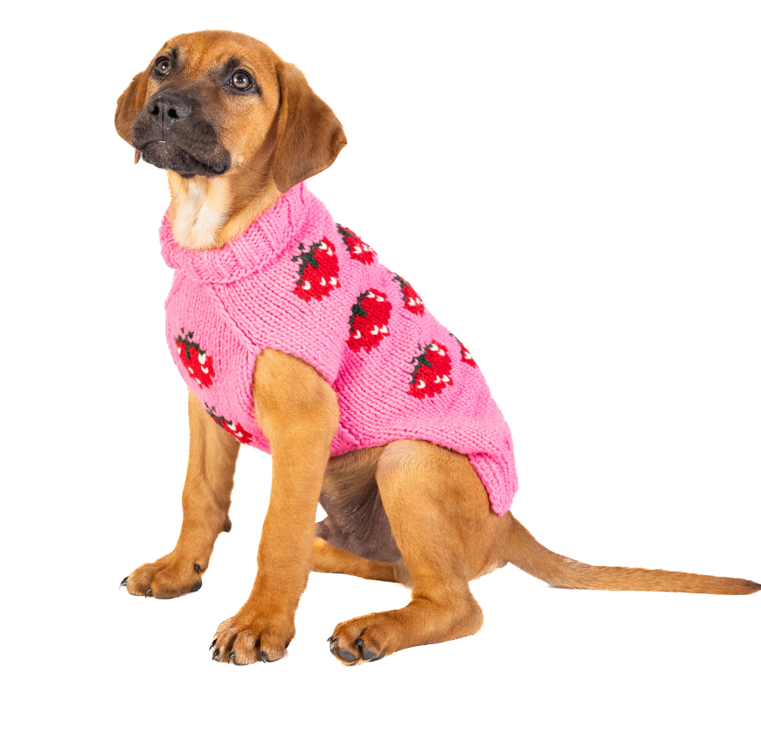 Strawberry Dog Sweater 8