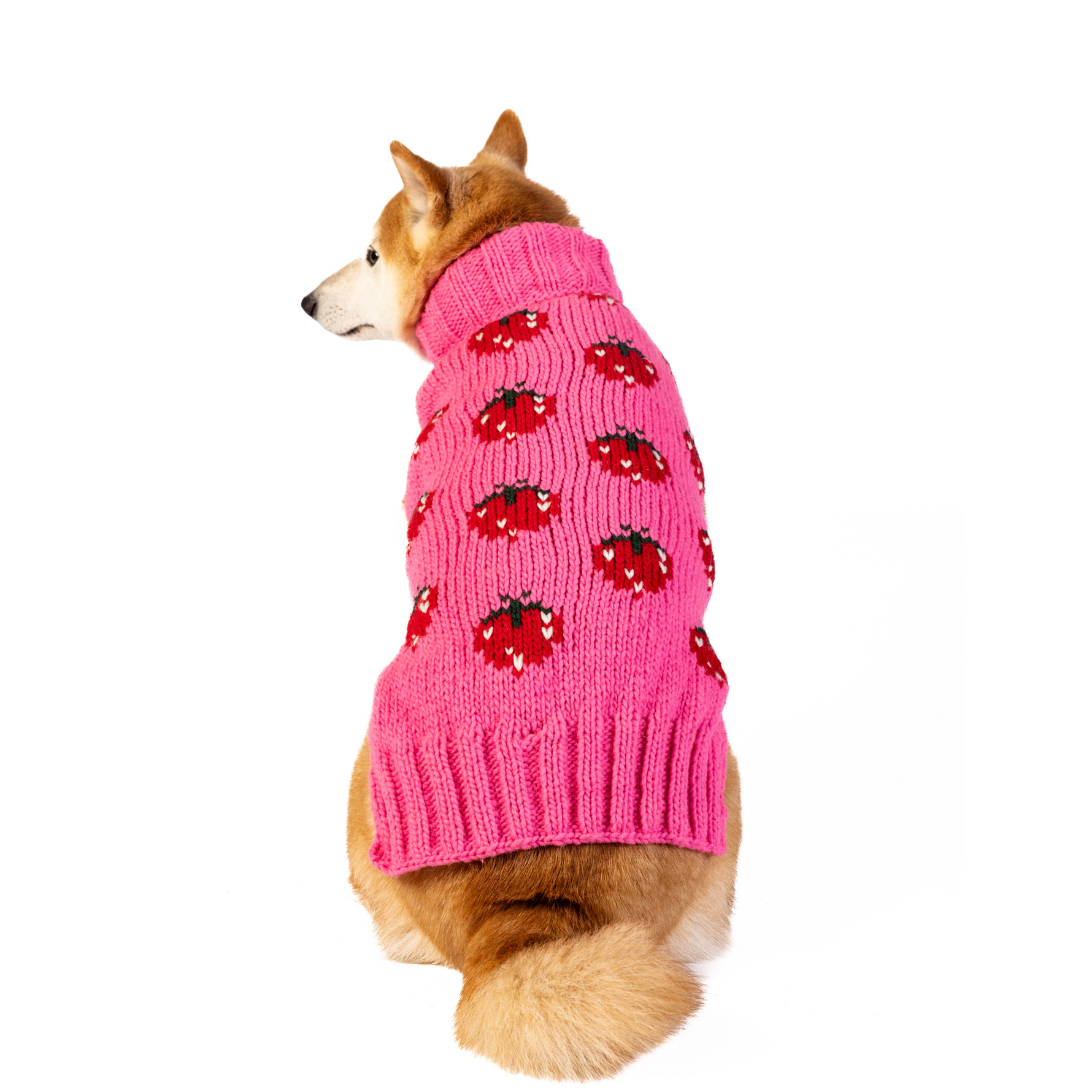 Strawberry Dog Sweater 9