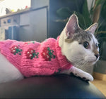 Cat wearing a pink knitted sweater with strawberry patterns on a dark surface.