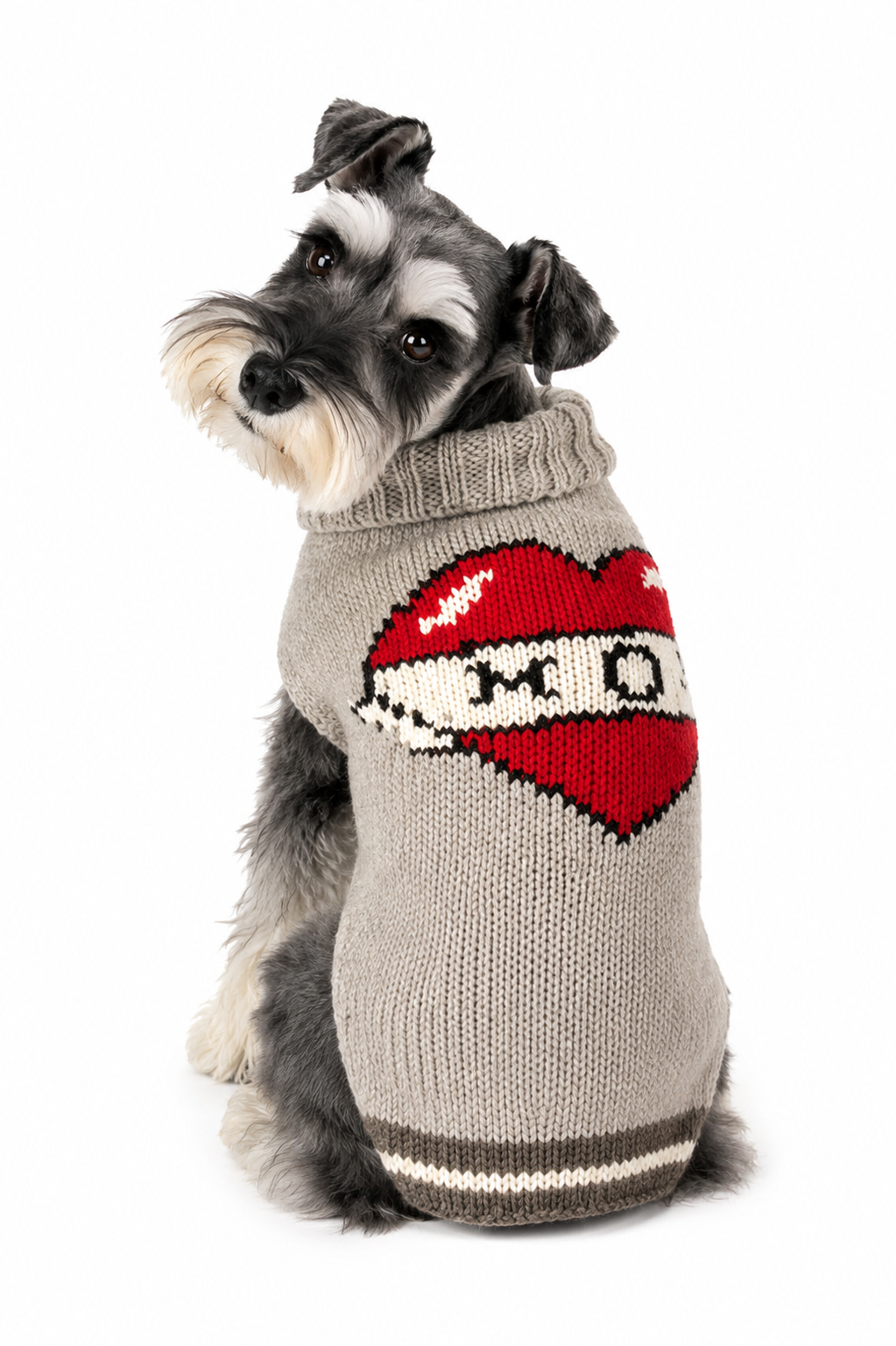 Dog wearing a gray sweater with a red heart design on a white background
