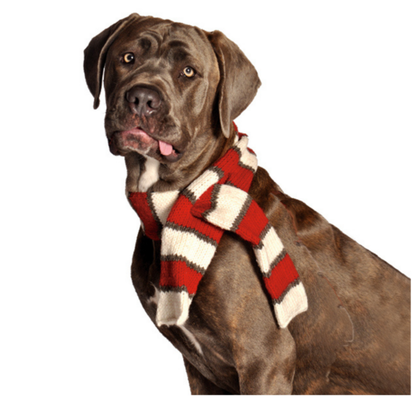 Red & White Striped Pet Scarf