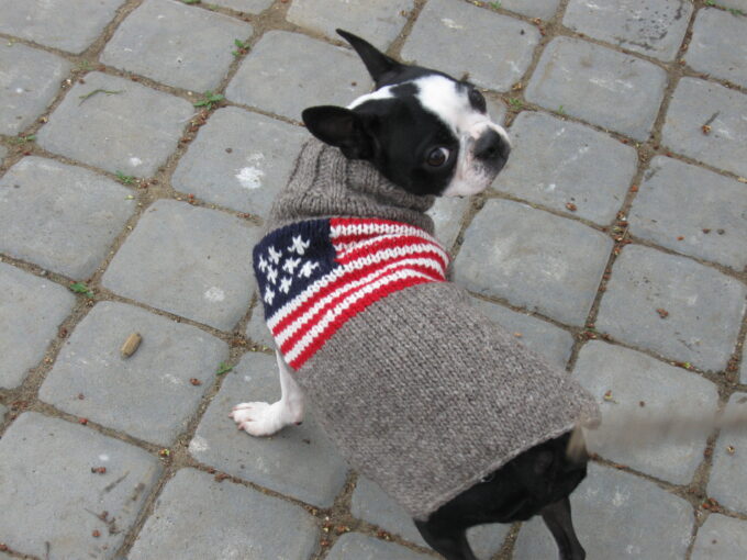 AMERICAN FLAG dog sweater