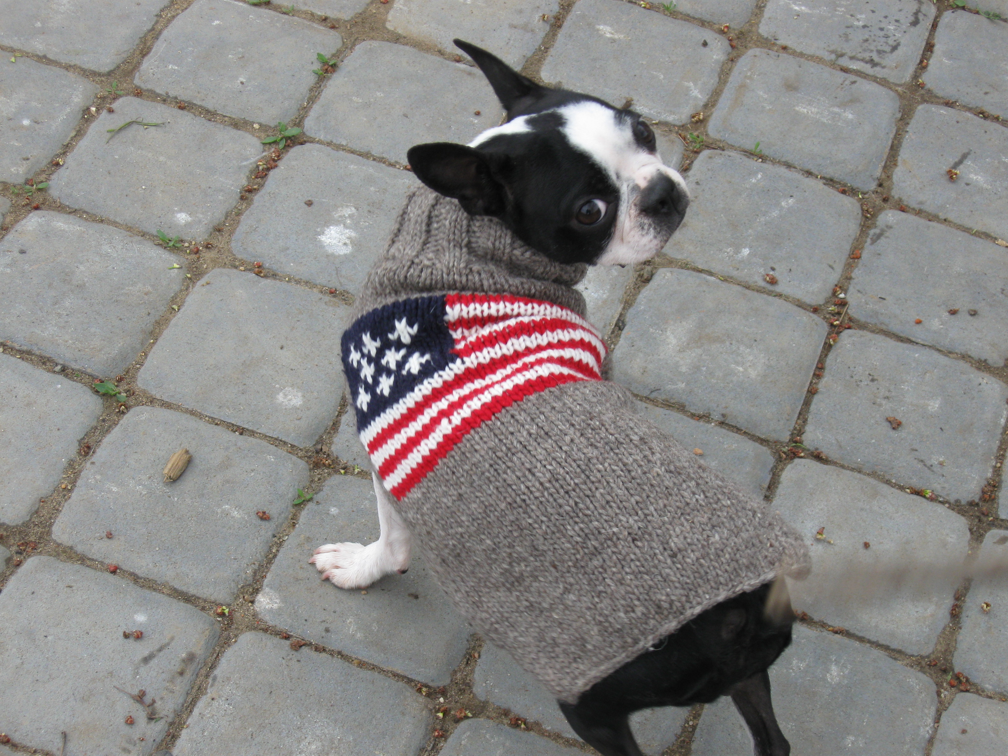 Chilly Dog American Flag Dog Sweater