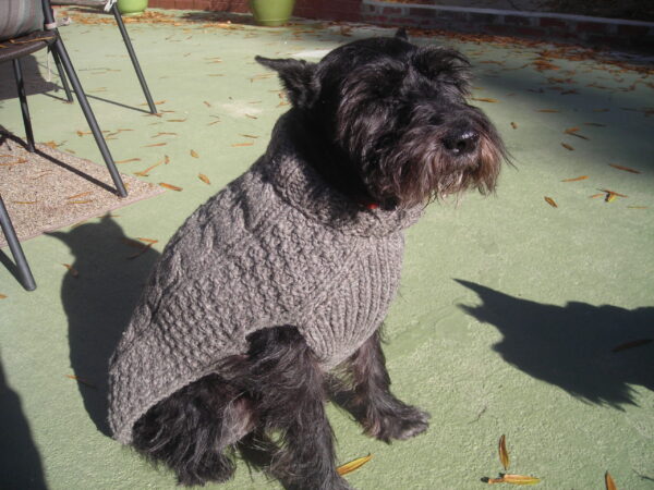 cable-knit dog sweater