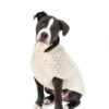Natural Cable Wool Dog Sweater