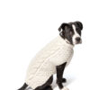 Natural Cable Wool Dog Sweater