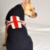 UNION JACK dog sweater
