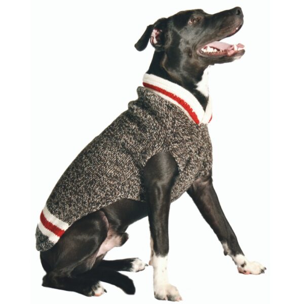 boyfriends dog sweater