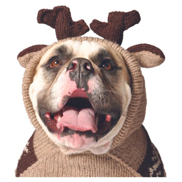 Moosey Hoodie Dog Sweater