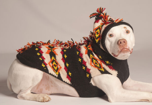 MOHAWK dog sweater