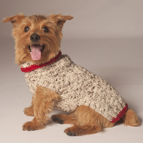 OATMEAL-WITH-RED-TRIM-CABLE-KNIT dog sweater