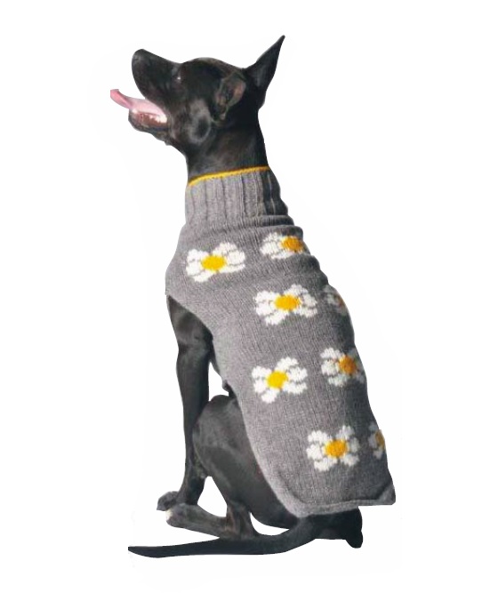 wool dog coat