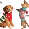 HOLIDAY dog sweaters banner