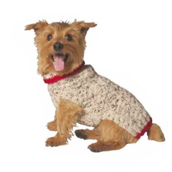 oatmeal cable knit dog sweater