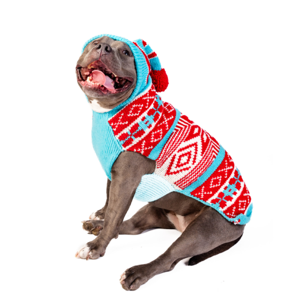 Peppermint Hoodie Dog Sweater 66