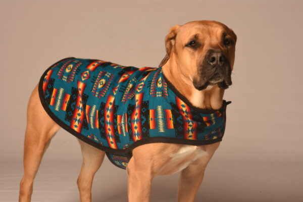 Turquoise Southwest Blanket Dog Coat 18-04-20 D1-369 CD - Dogs in Sweaters
