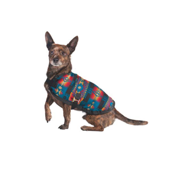 Turquoise Southwestern Dog Blanket Coat