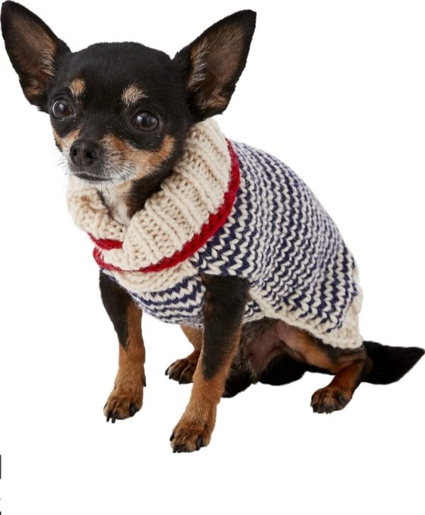 Spencer Wool Dog Sweater - small