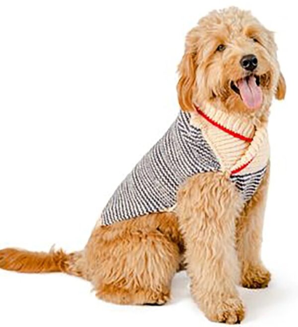Spencer Wool Dog Sweater - large