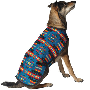 turquoise-southwest-blanket-dog-coat-600x600