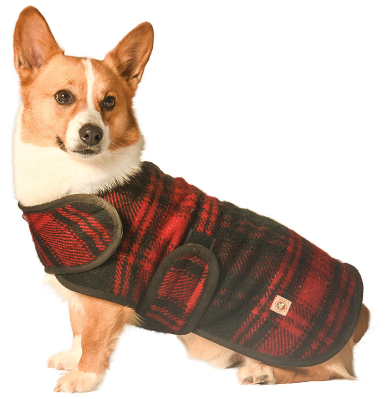 Coats Archives - Chilly Dog Sweaters