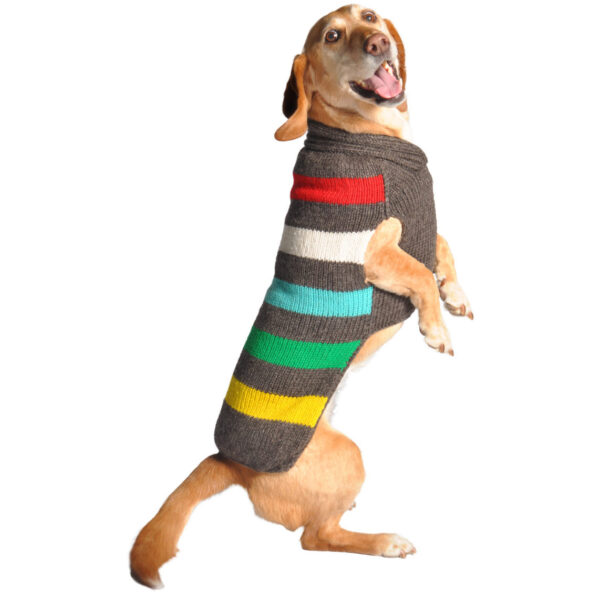 Charcoal-Stripe-Dog-Sweater-opposite-1000x1000
