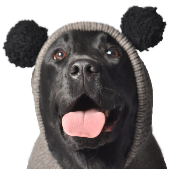 Panda Head dog sweater