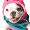 Pink Piggy Hoodie sweater