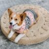 Peach Fairisle Dog Sweater