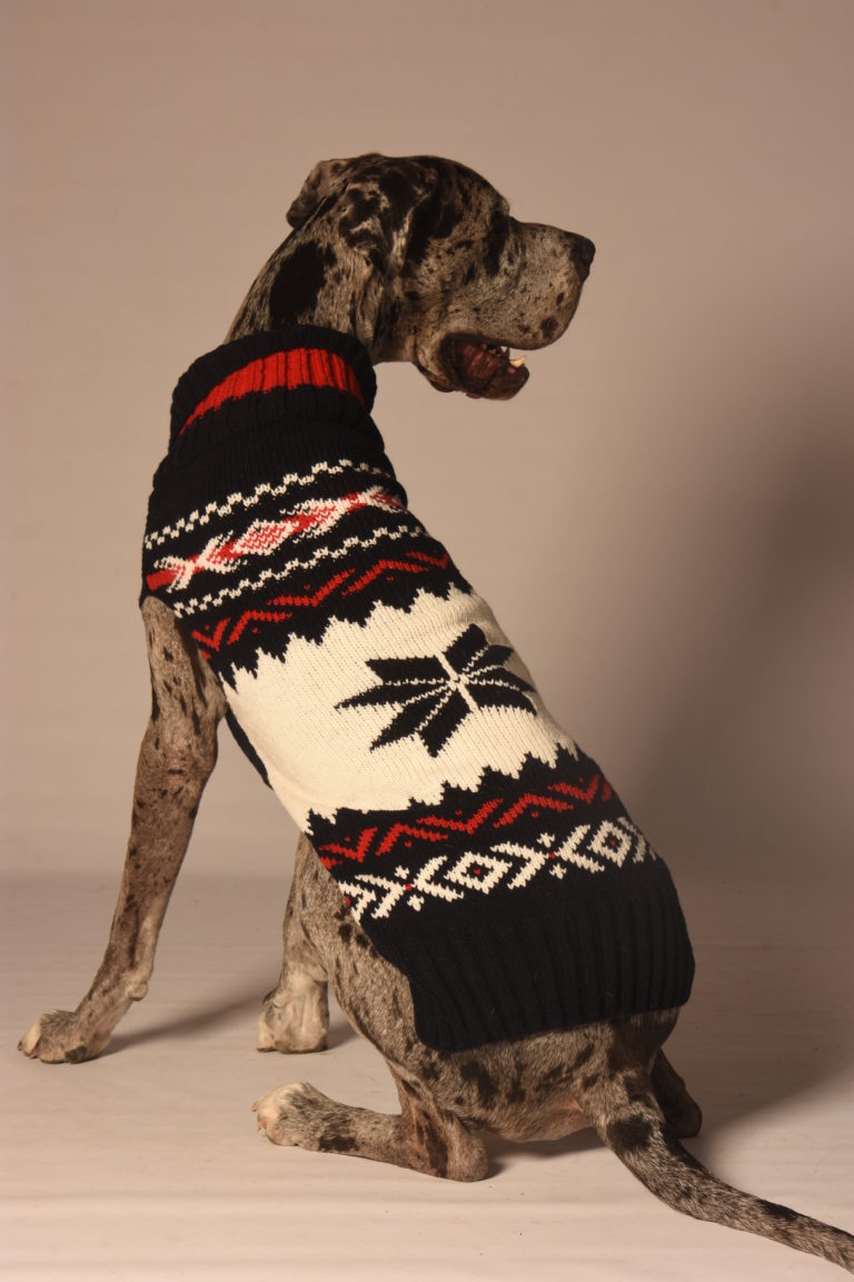 Guard Dog Sweater main image 1