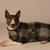 Dog Blanket Coat 18-04-20 D1-445 CD - Dogs in Sweaters