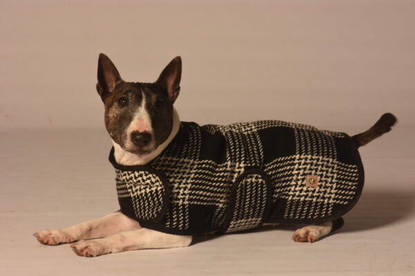 Dog Blanket Coat 18-04-20 D1-445 CD - Dogs in Sweaters