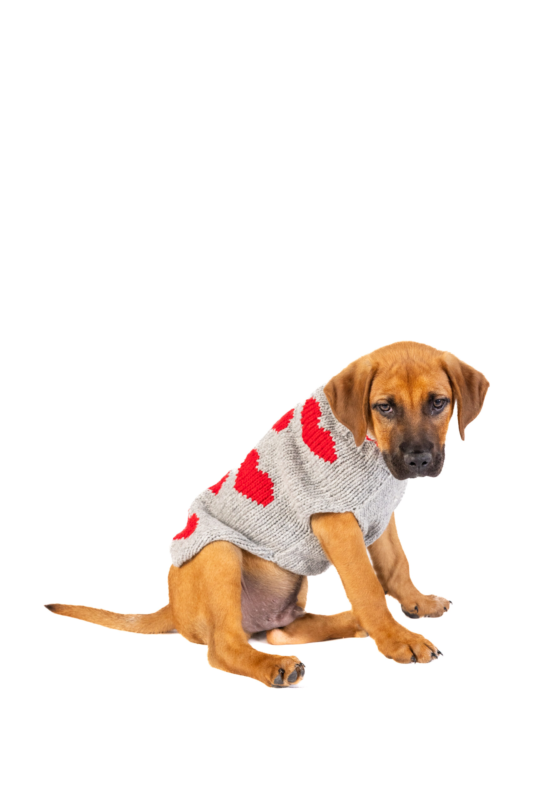 Chilly Dog Pink Cable Dog Sweater Xx-small Dog Chilly Dog Pink Cable Dog Sweater, XX-Large Chilly Dog Pink Cable Dog Sweater Xx-small Size
